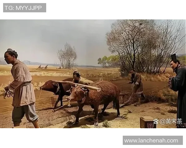 五谷丰登：探索五种主要农作物的种植技巧与经济价值